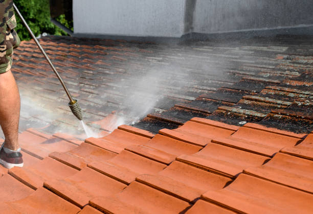 Best Roof Power Washing Services  in Palm City, FL