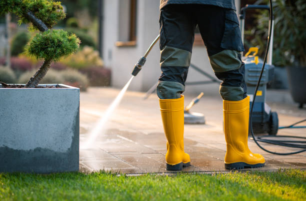 Best Roof Pressure Washing  in Palm City, FL